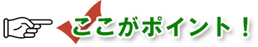 探偵　ガルーエージェンシー　ここがポイント